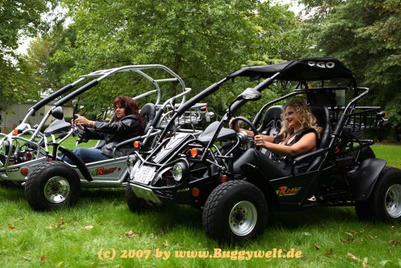 Plaquettes Frein CD-F035 Pour CF PGO BR-200 Bugdrider, BR 250, 250 Bug R, CVT 150E, Quad 300 RS - Haute Performance